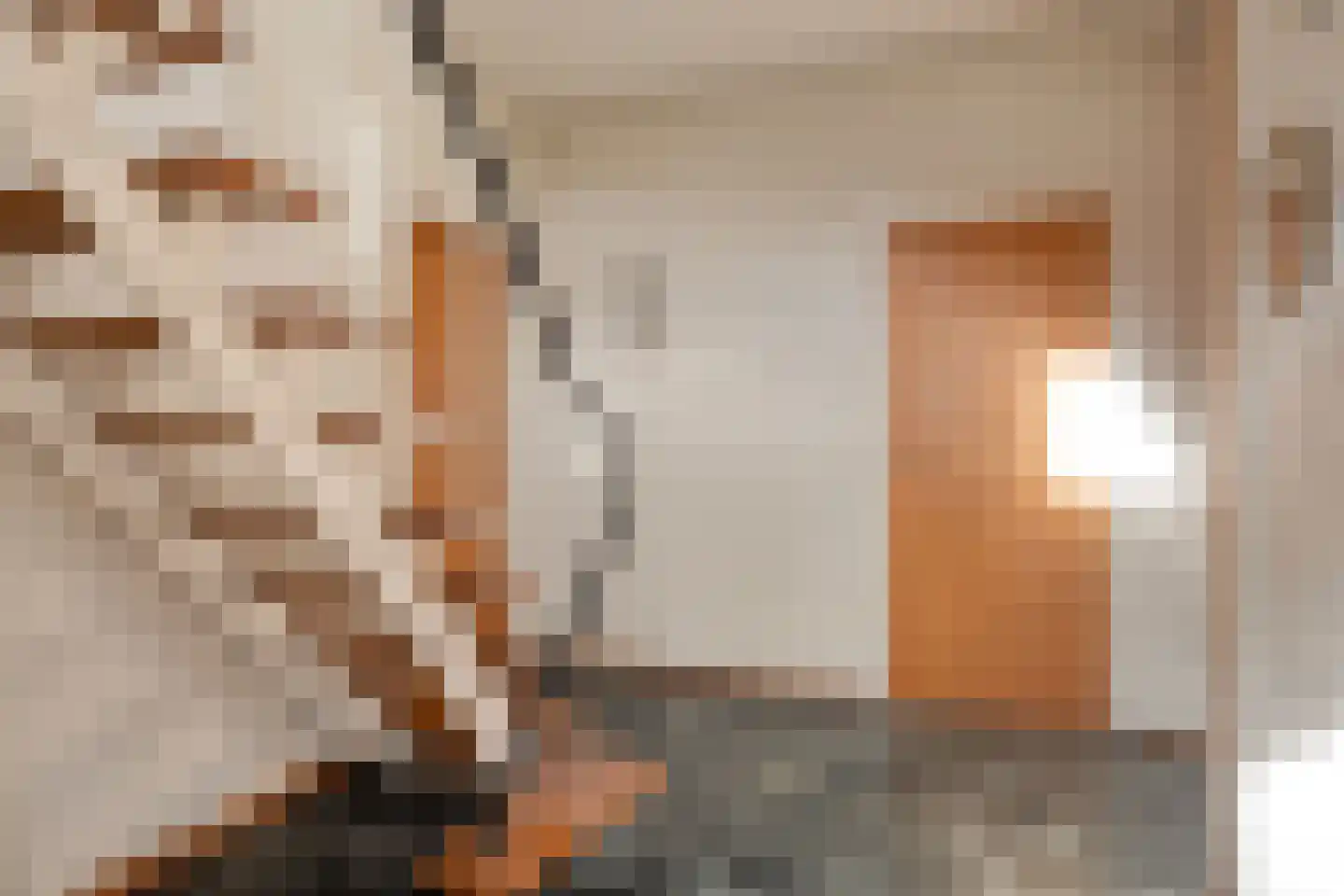 Diepenbrocklaan 6 Son en Breugel thumbnail 21
