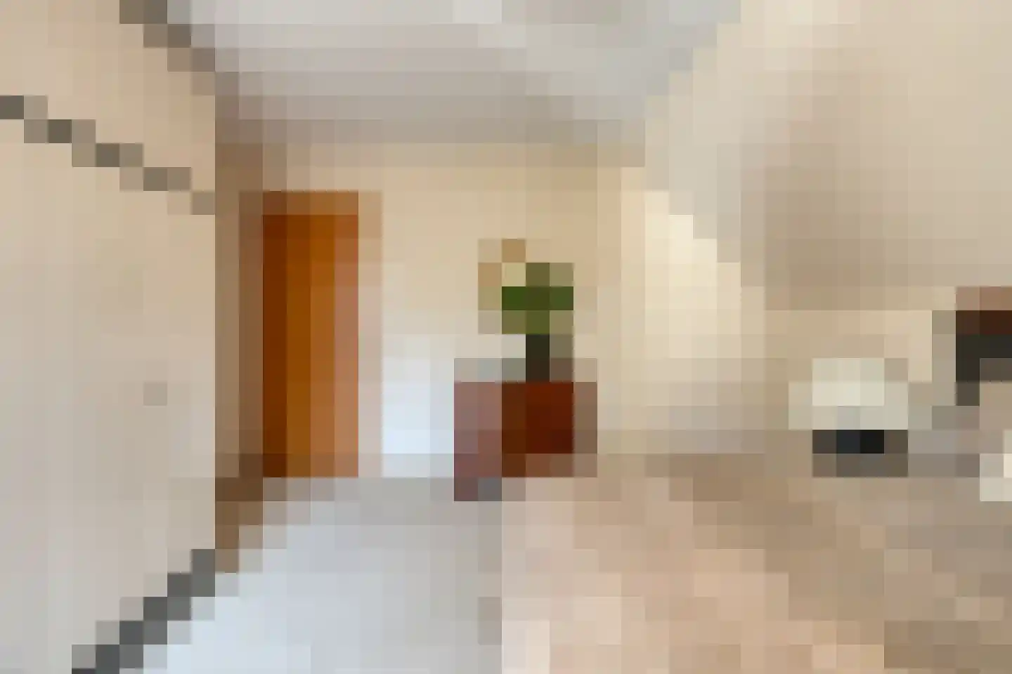 Diepenbrocklaan 6 Son en Breugel thumbnail 27