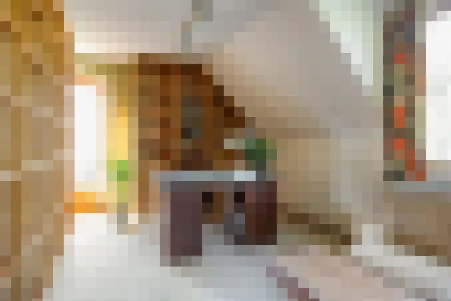 Diepenbrocklaan 6 Son en Breugel thumbnail 29