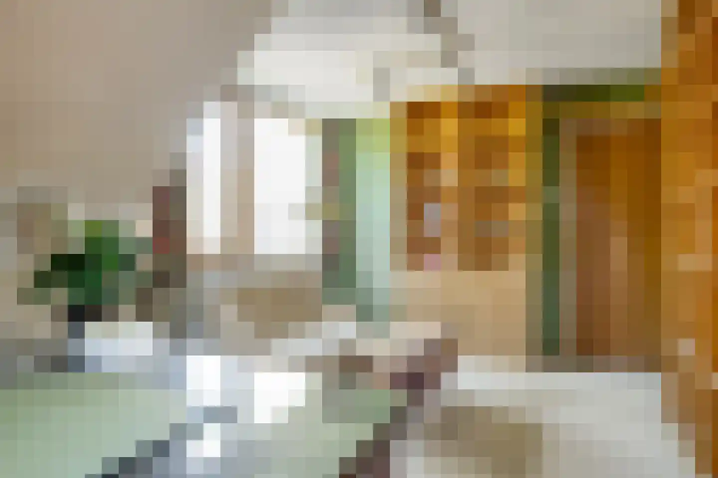 Diepenbrocklaan 6 Son en Breugel thumbnail 30