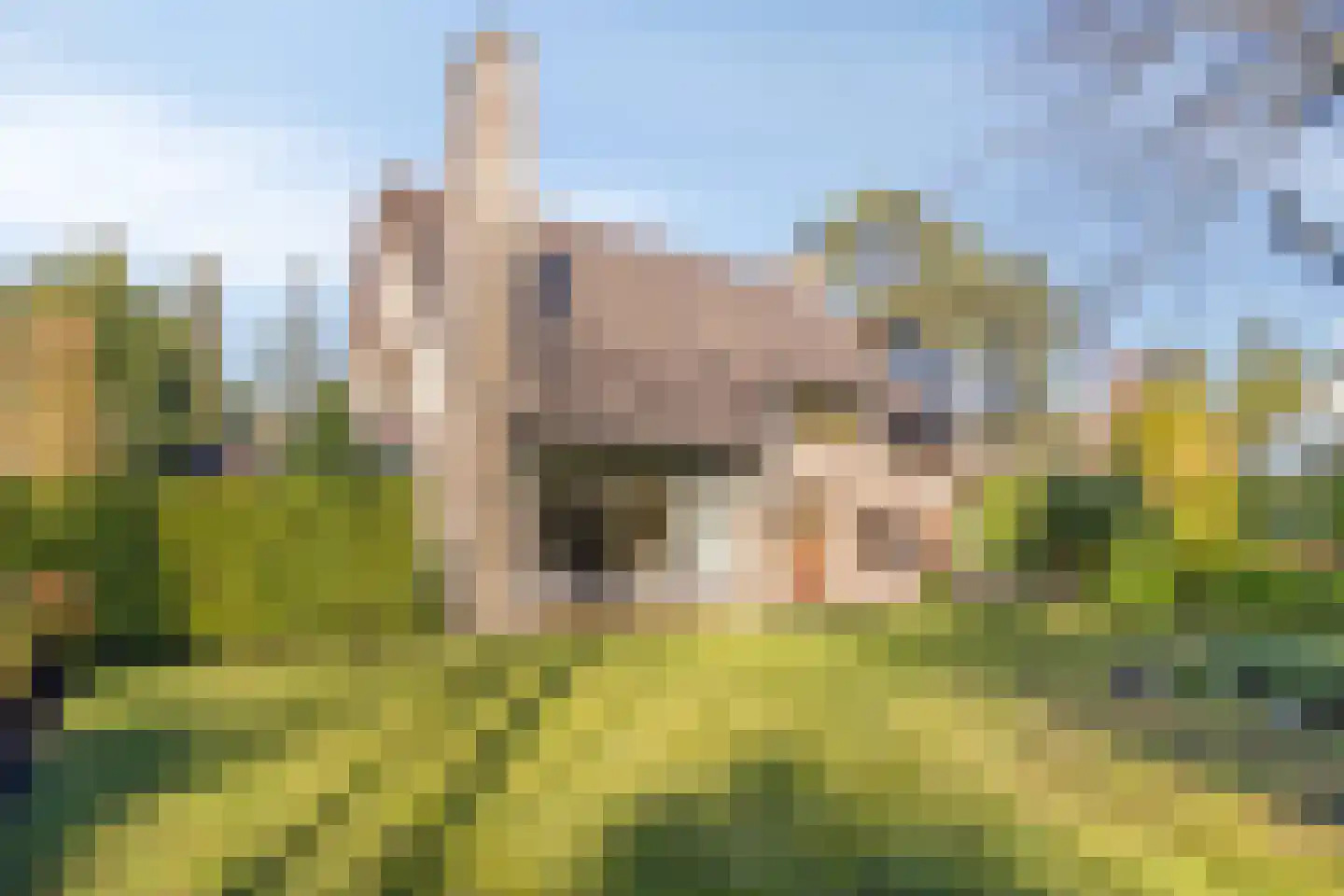 Diepenbrocklaan 6 Son en Breugel thumbnail 39