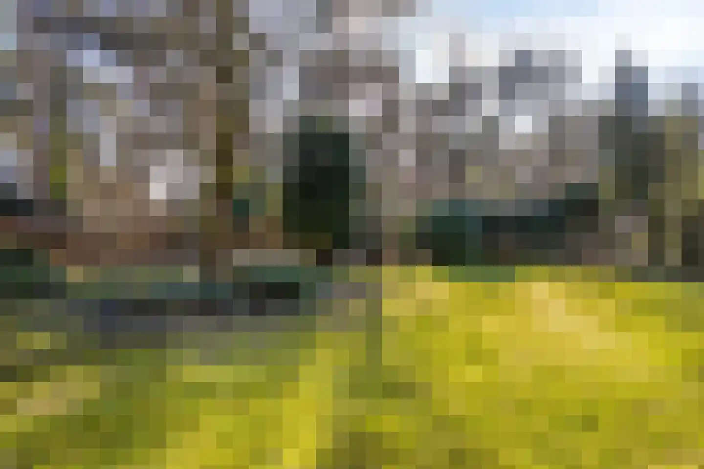 Diepenbrocklaan 6 Son en Breugel thumbnail 4