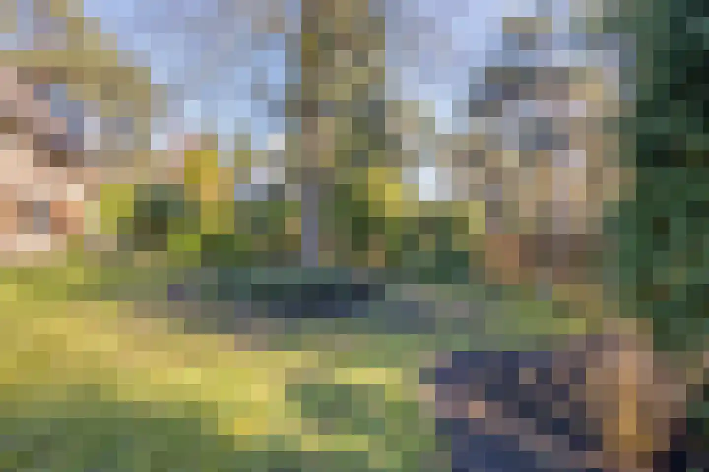 Diepenbrocklaan 6 Son en Breugel thumbnail 40