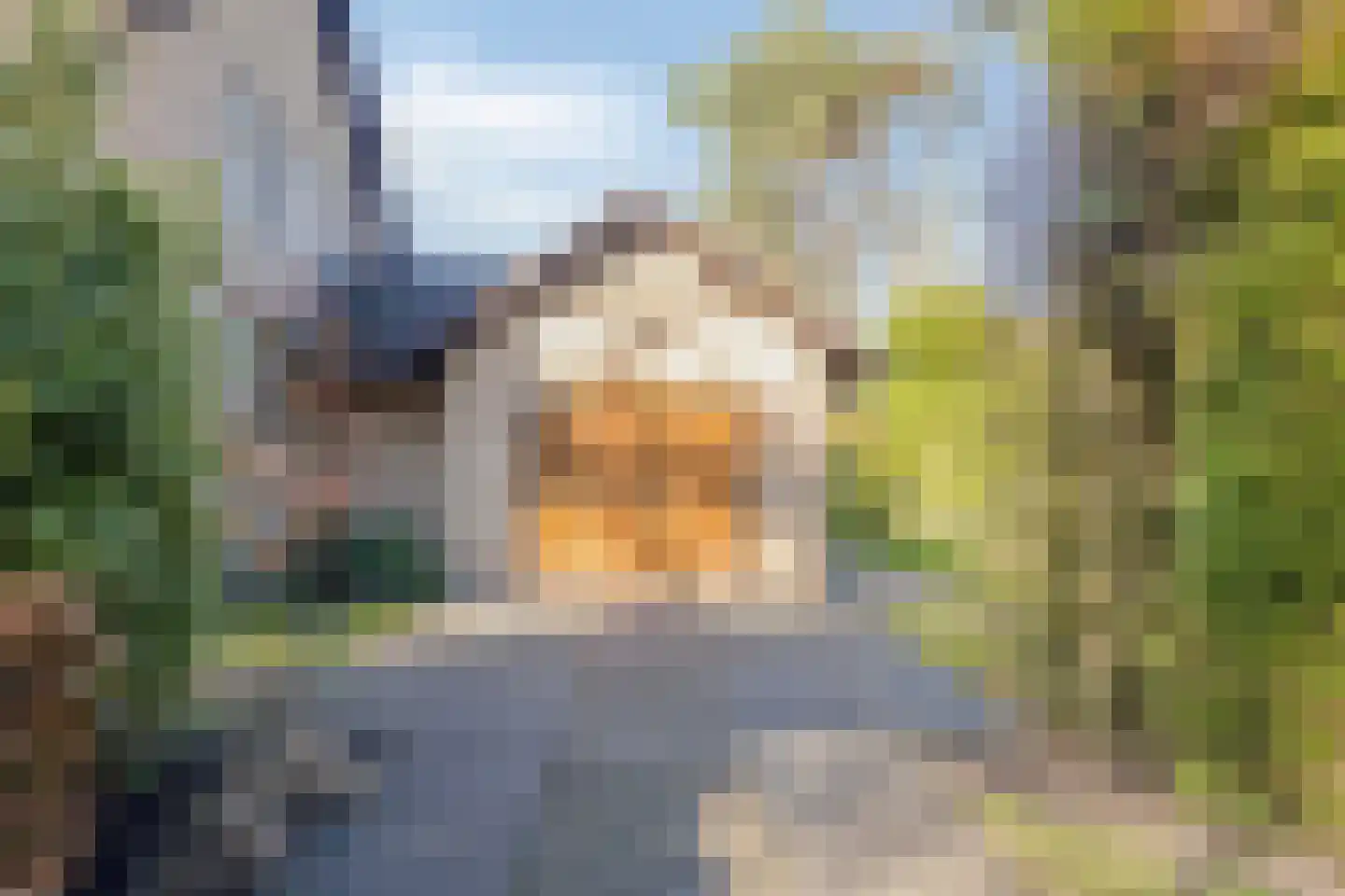 Diepenbrocklaan 6 Son en Breugel thumbnail 42