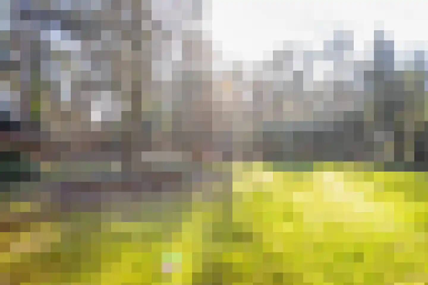 Diepenbrocklaan 6 Son en Breugel thumbnail 46