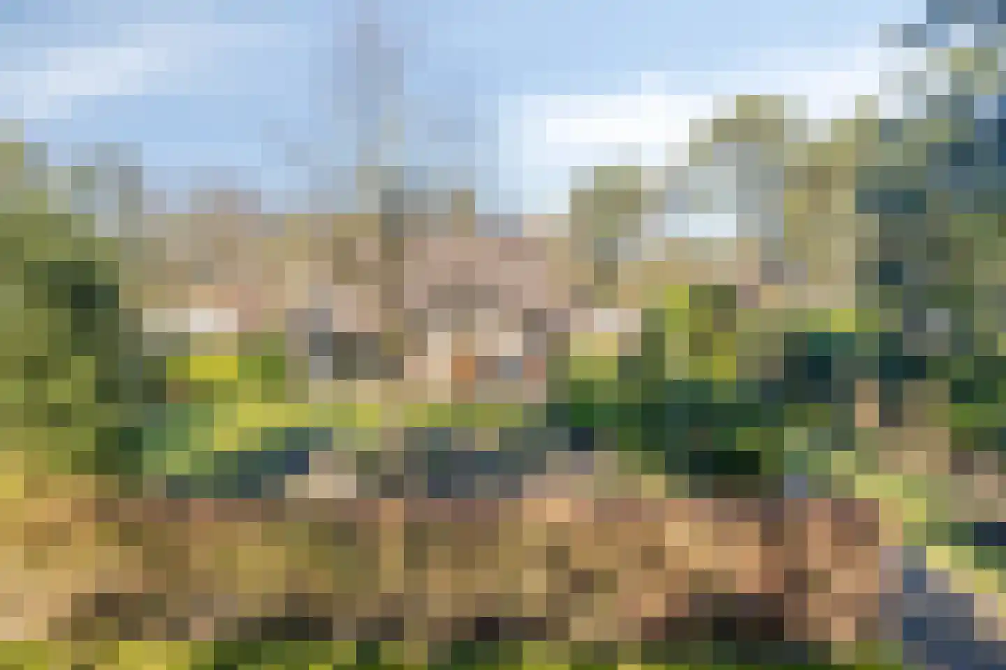 Diepenbrocklaan 6 Son en Breugel thumbnail 47