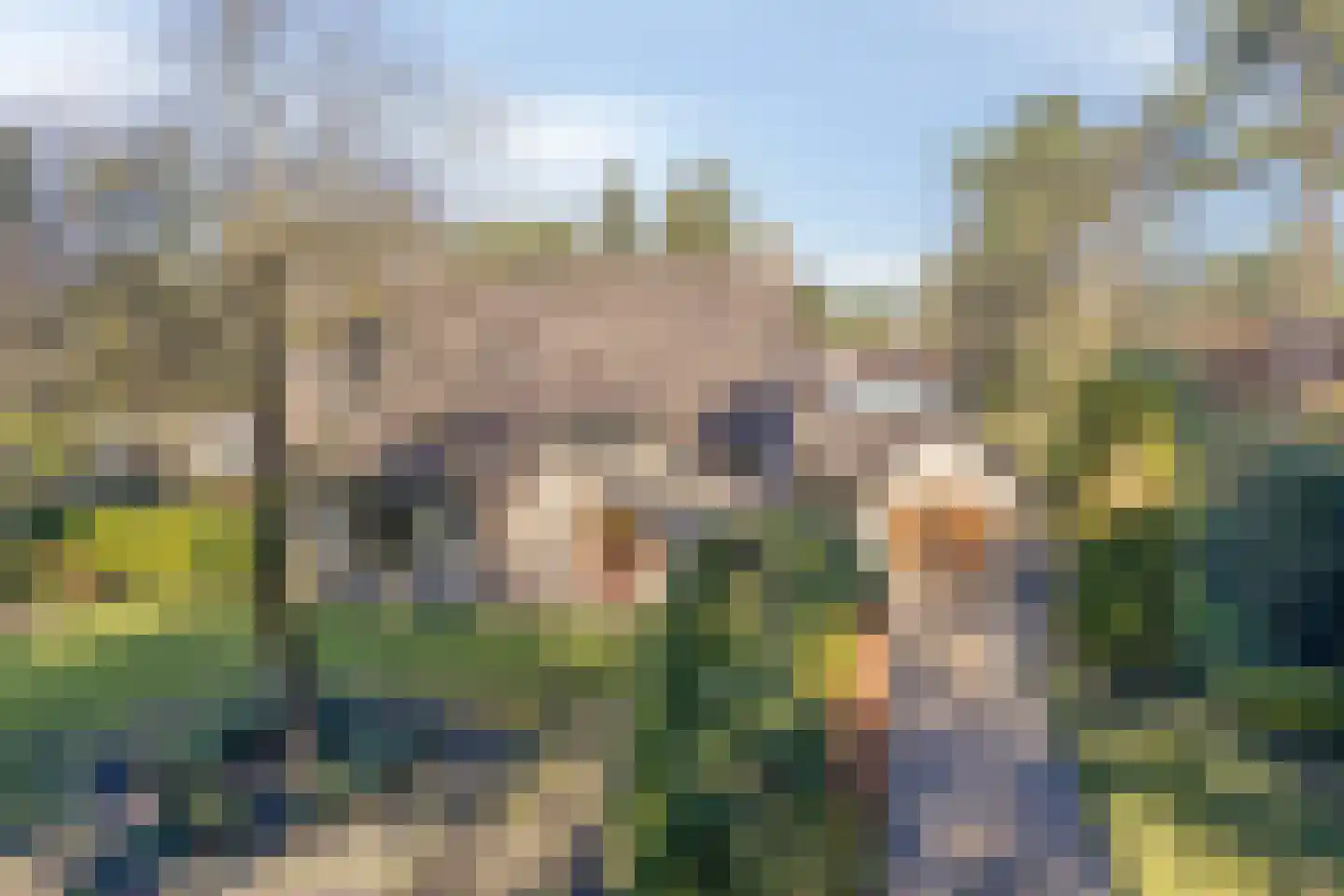 Diepenbrocklaan 6 Son en Breugel thumbnail 48