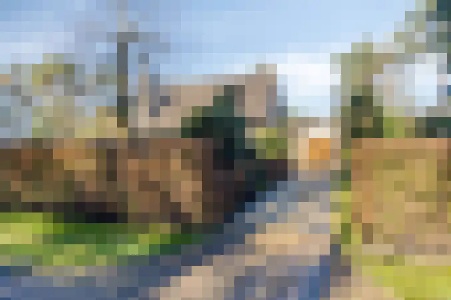 Diepenbrocklaan 6 Son en Breugel thumbnail 50