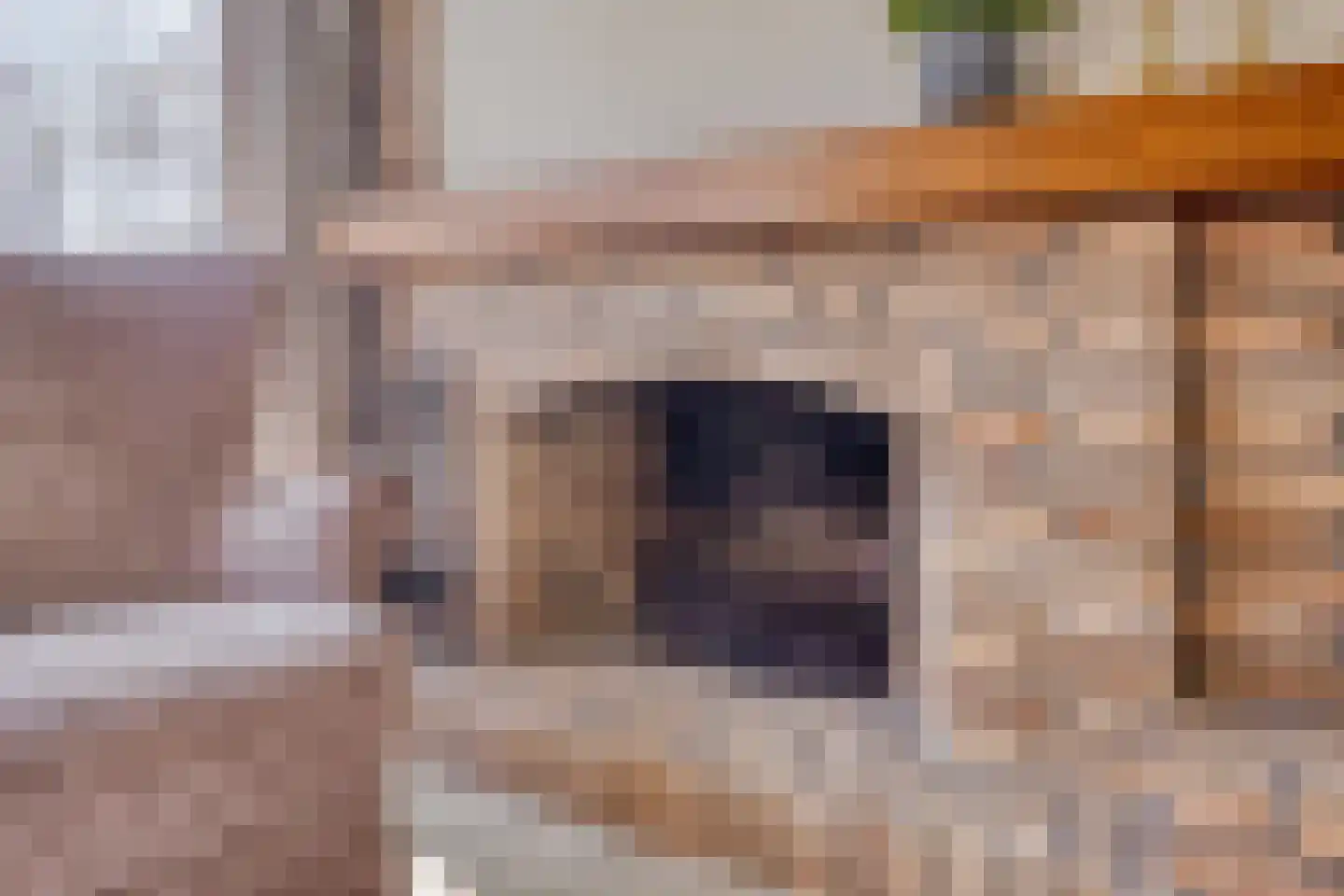 Diepenbrocklaan 6 Son en Breugel thumbnail 9