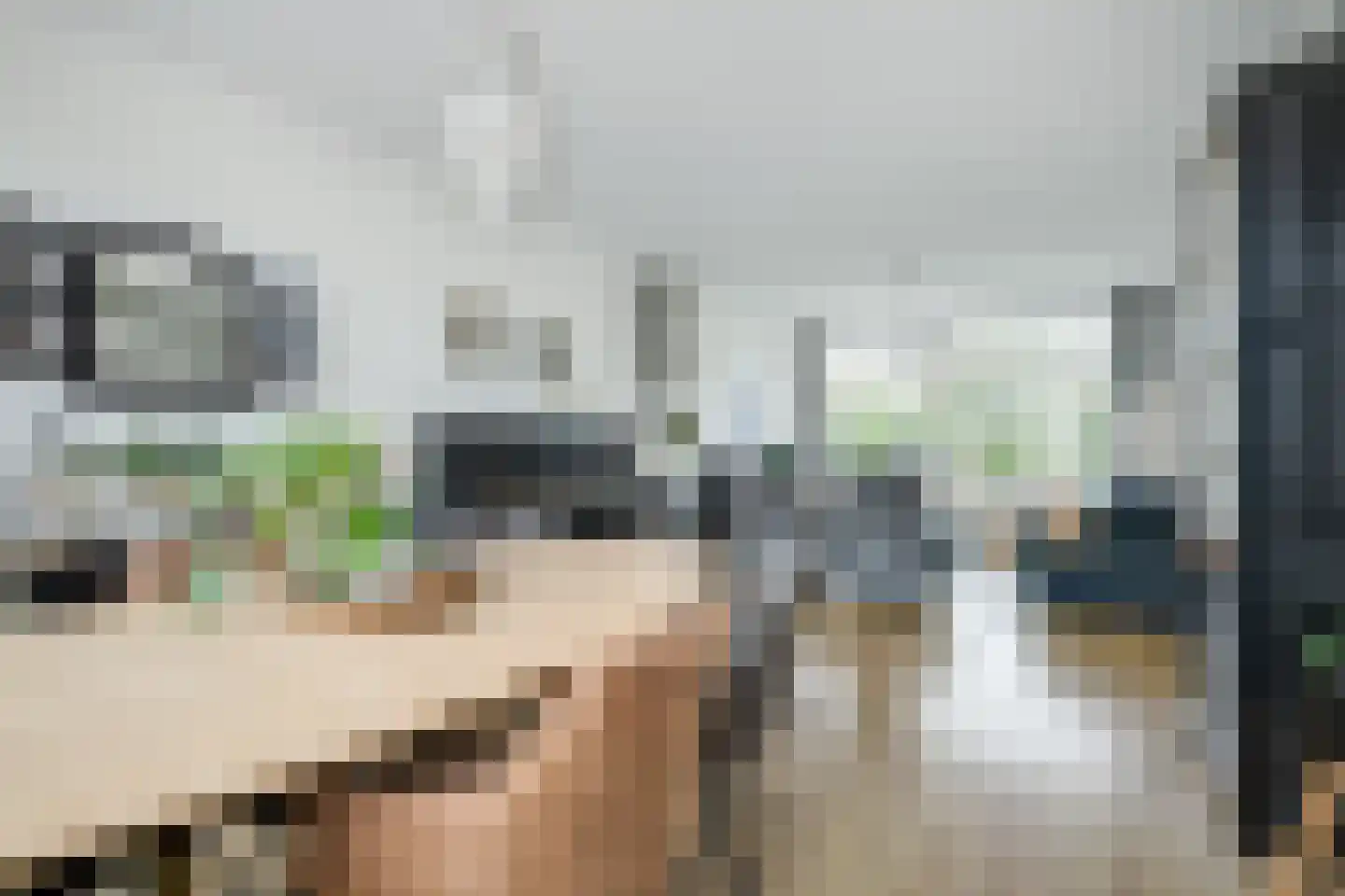 Diepenbrocklaan 6 Voorschoten thumbnail 4