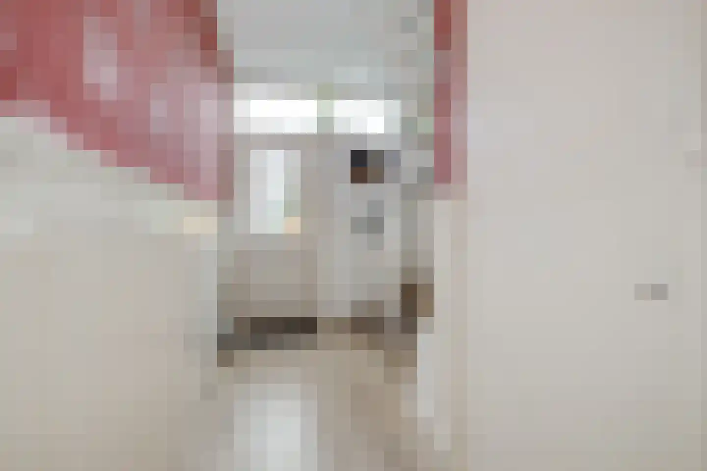 Diepenbrocklaan 6 Voorschoten thumbnail 6
