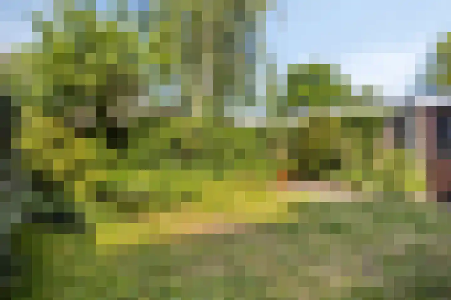 Diepenbrocklaan 75 Tilburg thumbnail 44