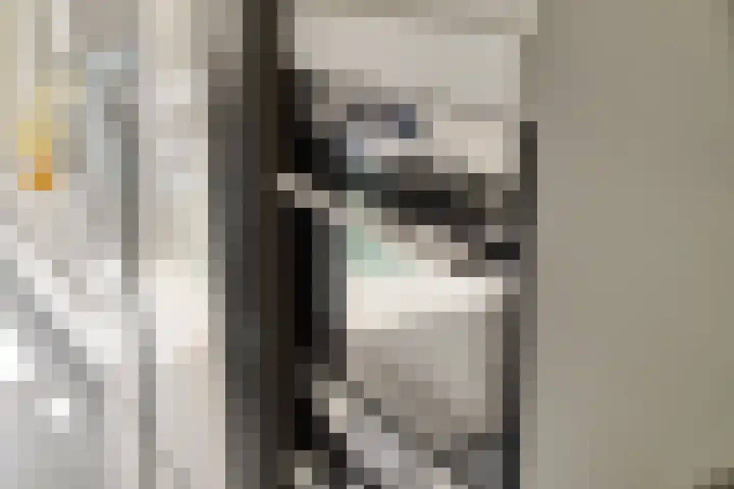 Diepenbrockrode 18 Zoetermeer thumbnail 10