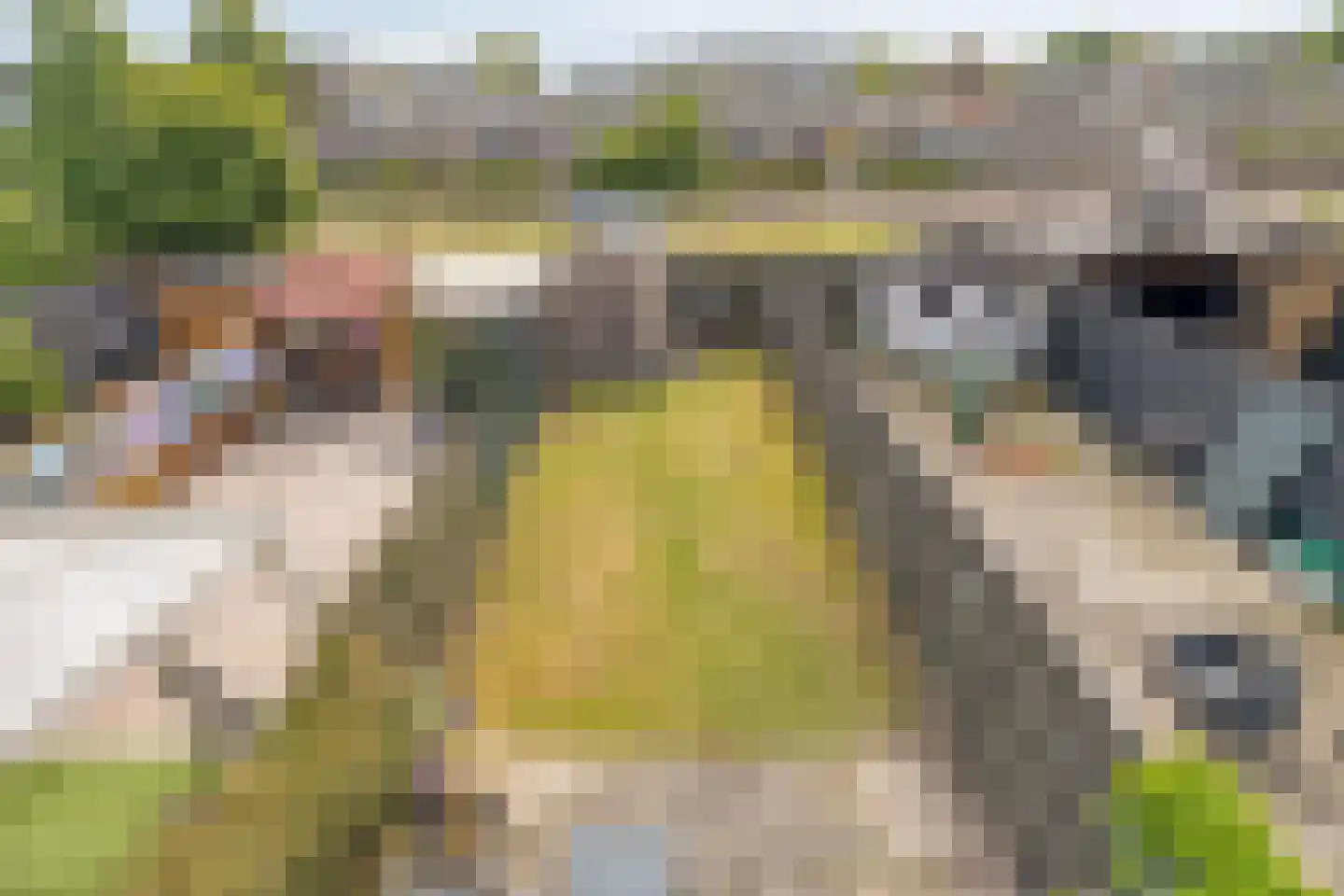 Diepenbrockrode 18 Zoetermeer thumbnail 12