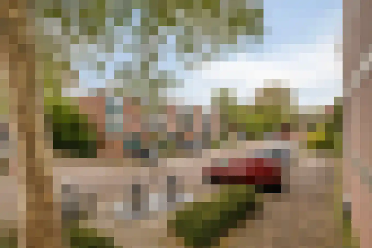 Diepenbrockrode 18 Zoetermeer thumbnail 27