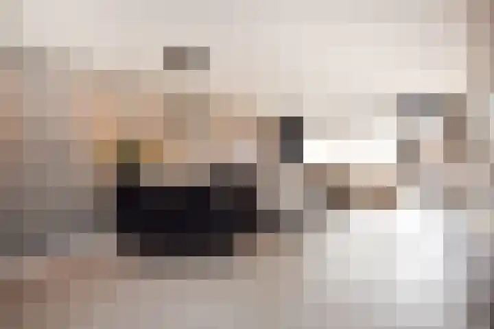 Diepenbrockrode 22 Zoetermeer thumbnail 14