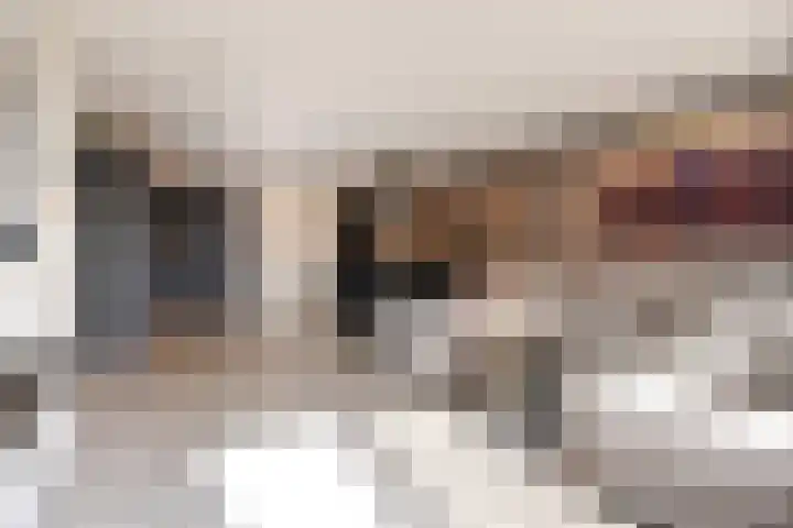 Diepenbrockrode 22 Zoetermeer thumbnail 16