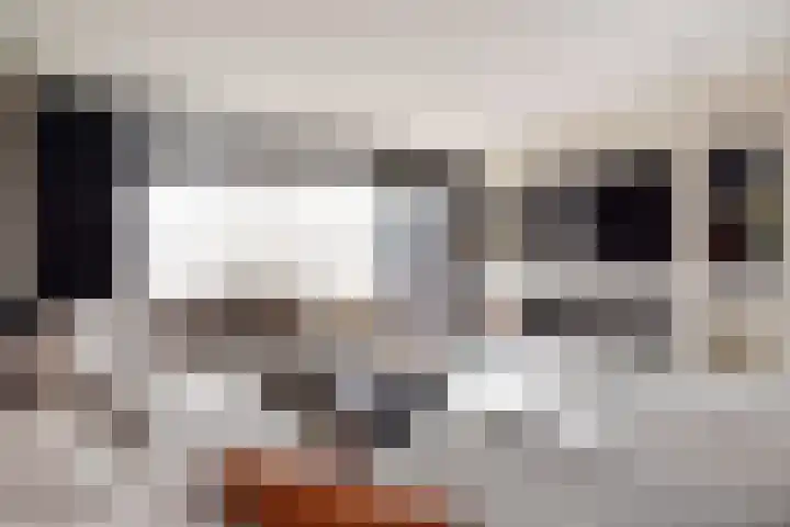 Diepenbrockrode 22 Zoetermeer thumbnail 17