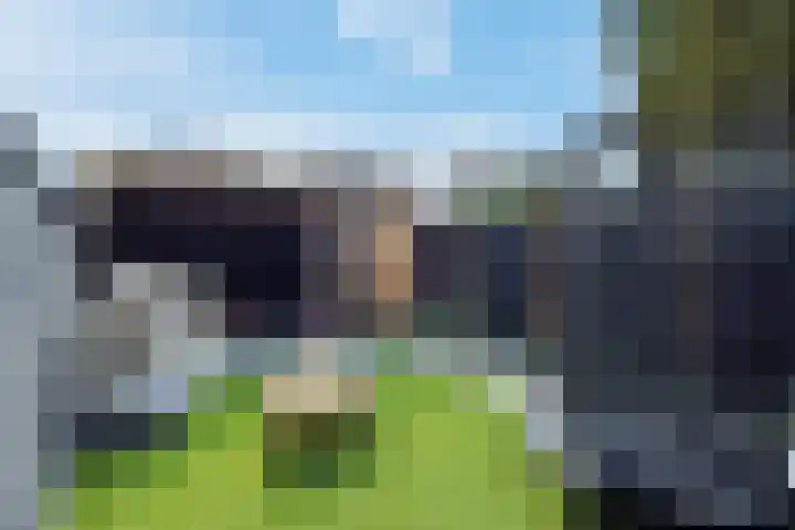Diepenbrockrode 22 Zoetermeer thumbnail 19
