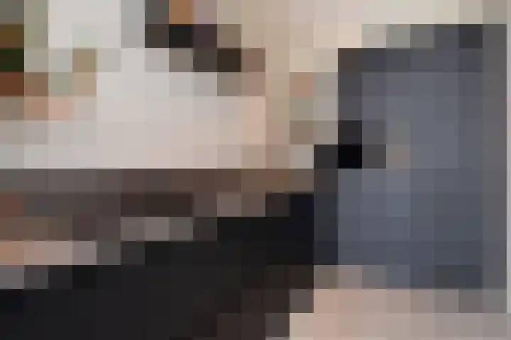 Diepenbrockrode 22 Zoetermeer thumbnail 27
