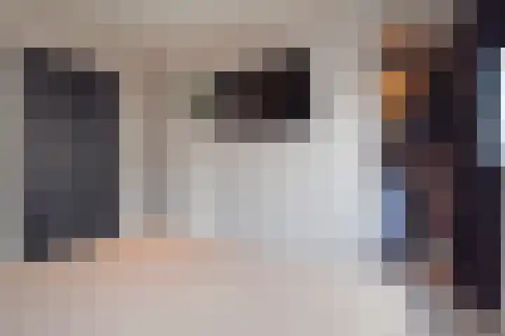 Diepenbrockrode 22 Zoetermeer thumbnail 36