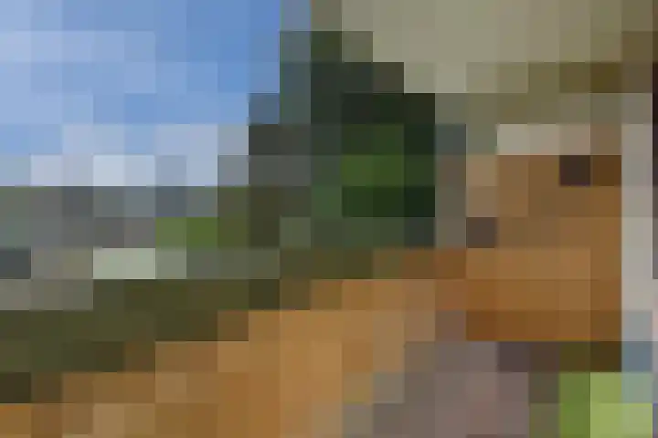 Diepenbrockrode 22 Zoetermeer thumbnail 46