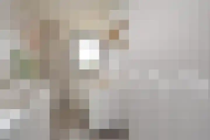 Diepenbrockrode 22 Zoetermeer thumbnail 48