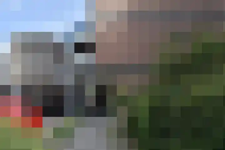 Diepenbrockrode 22 Zoetermeer thumbnail 5