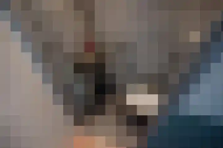 Diepenbrockrode 23 Zoetermeer thumbnail 24