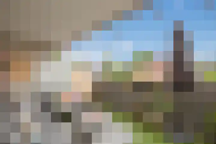 Diepenbrockrode 23 Zoetermeer thumbnail 4