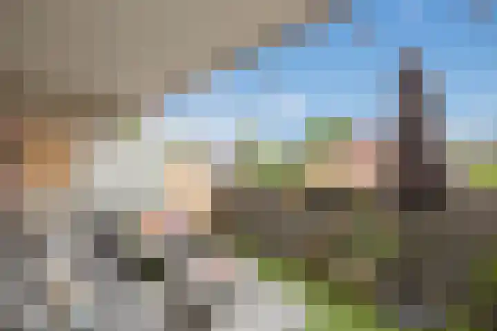 Diepenbrockrode 23 Zoetermeer thumbnail 9