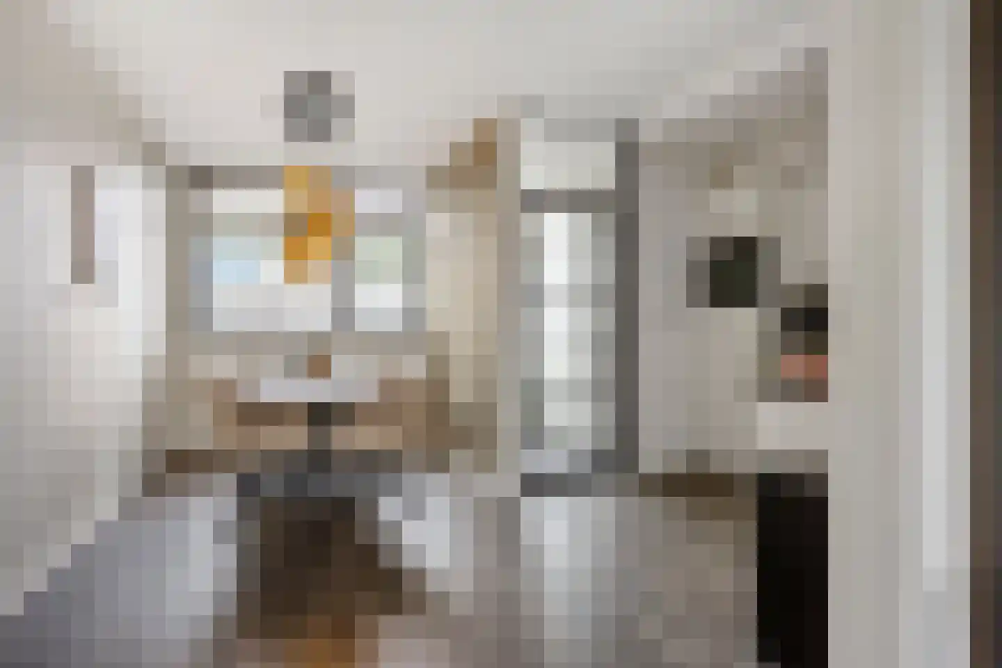 Diepenbrockrode 40 Zoetermeer thumbnail 13