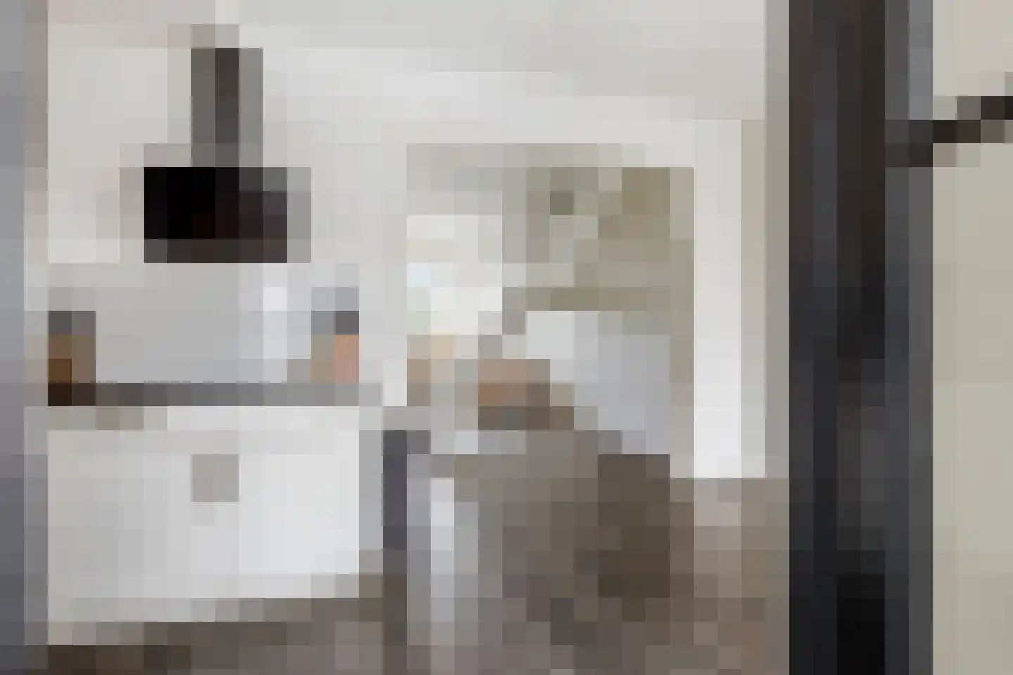 Diepenbrockrode 40 Zoetermeer thumbnail 14