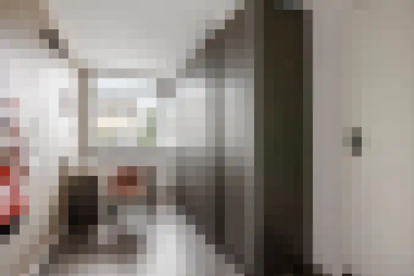 Diepenbrockrode 40 Zoetermeer thumbnail 24