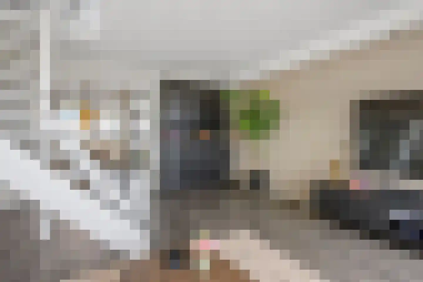 Diepenbrockrode 40 Zoetermeer thumbnail 4