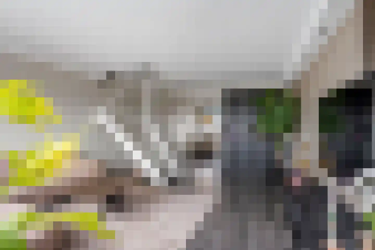 Diepenbrockrode 40 Zoetermeer thumbnail 5