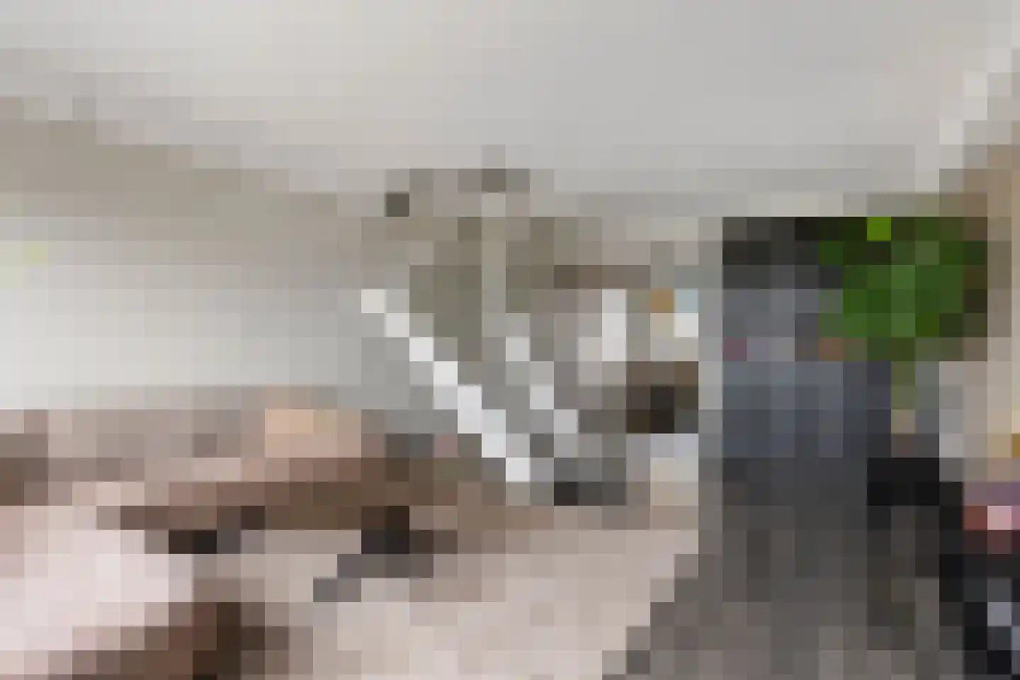 Diepenbrockrode 40 Zoetermeer thumbnail 6