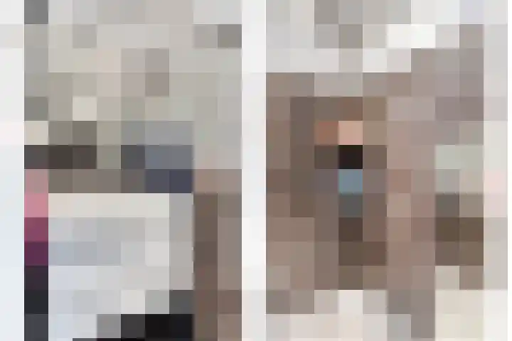 Diepenbrockrode 42 Zoetermeer thumbnail 10