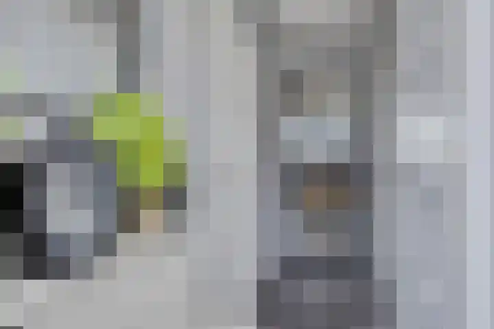 Diepenbrockrode 42 Zoetermeer thumbnail 11