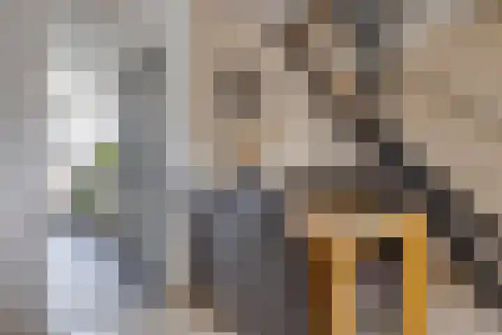 Diepenbrockrode 42 Zoetermeer thumbnail 12