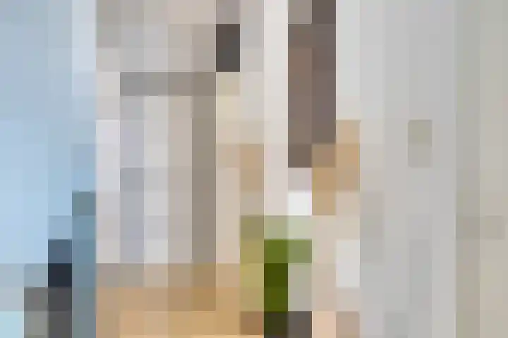 Diepenbrockrode 42 Zoetermeer thumbnail 13