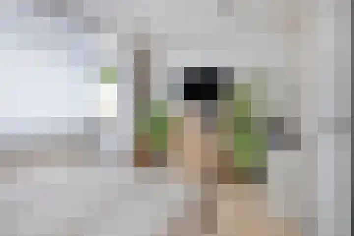 Diepenbrockrode 42 Zoetermeer thumbnail 15