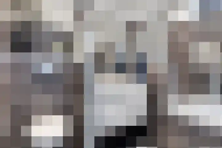 Diepenbrockrode 42 Zoetermeer thumbnail 16