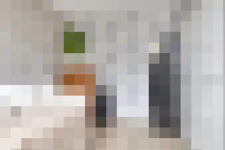Diepenbrockrode 42 Zoetermeer thumbnail 18