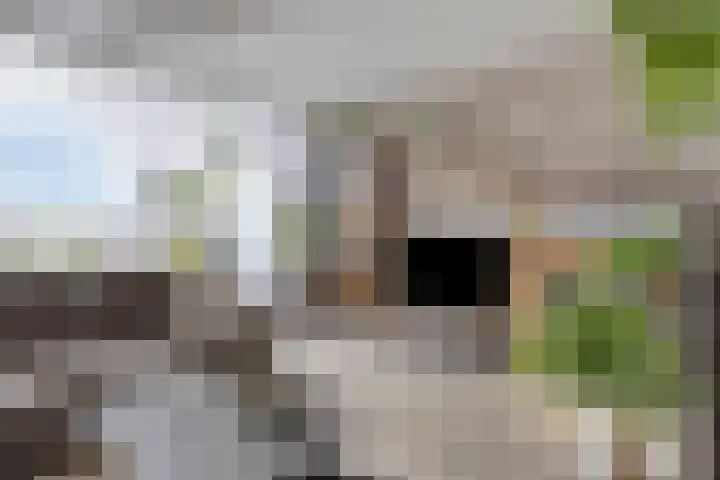 Diepenbrockrode 42 Zoetermeer foto 2