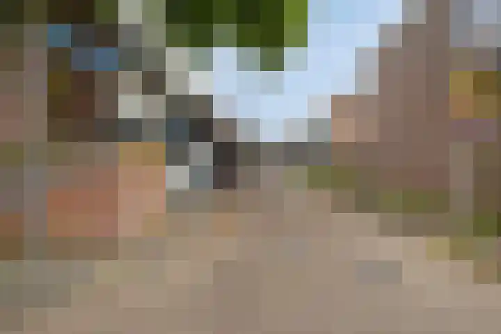 Diepenbrockrode 42 Zoetermeer thumbnail 27