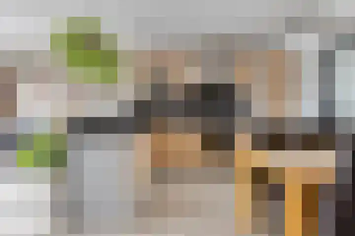 Diepenbrockrode 42 Zoetermeer thumbnail 4