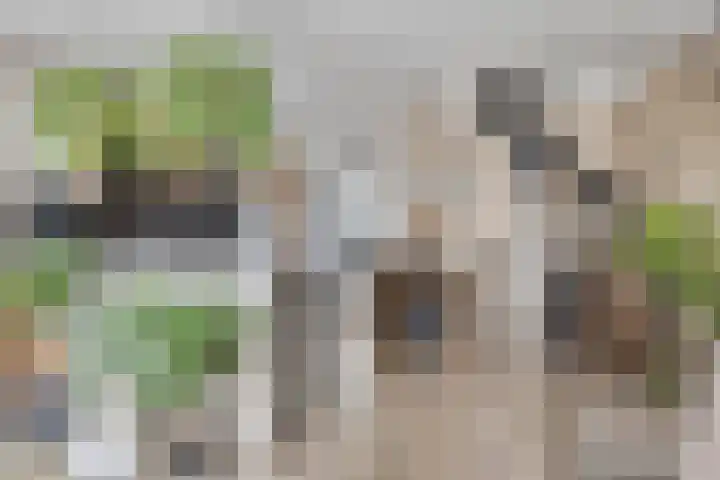 Diepenbrockrode 42 Zoetermeer thumbnail 6