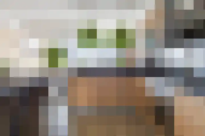 Diepenbrockrode 42 Zoetermeer thumbnail 7