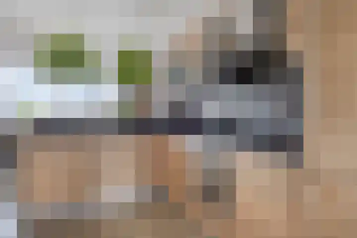 Diepenbrockrode 42 Zoetermeer thumbnail 8